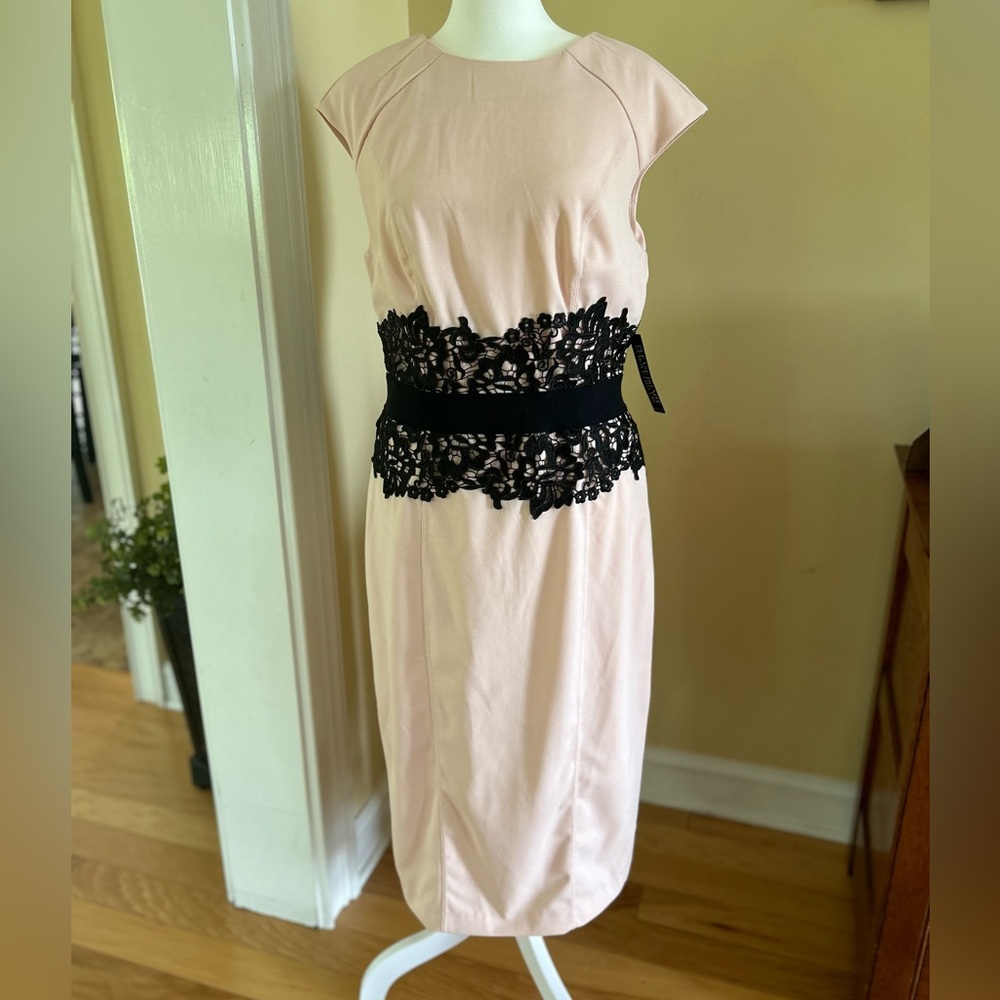 NWT New York and Company Women’s Stretch Fully Lined Pink Dress
